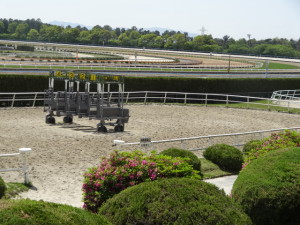 DSC02493