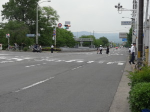 DSC02529