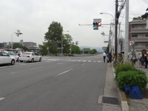 DSC02531
