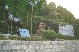 toresenn2