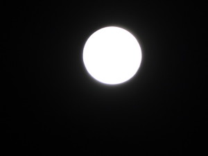 DSC03309