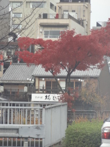 DSC03777
