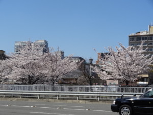 DSC04283