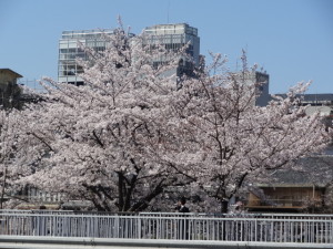 DSC04284