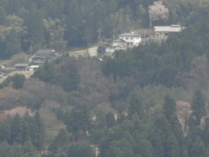 DSC04334