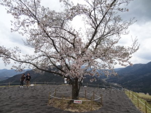 DSC04340
