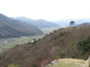 DSC04355