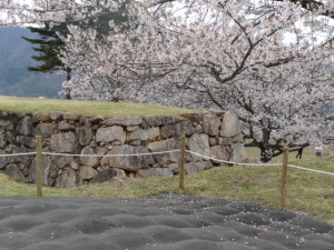 DSC04358