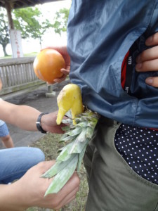 DSC05099