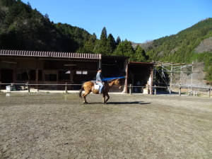 DSC05523