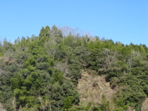 DSC05533