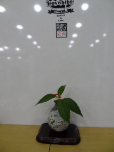 DSC05579