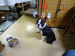 DSC05895