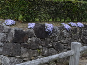 DSC05920