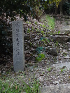 DSC05924