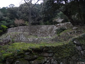 DSC05926