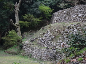 DSC05928