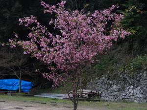 DSC05933