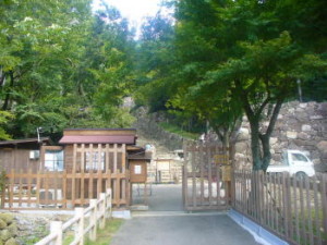 aduti03