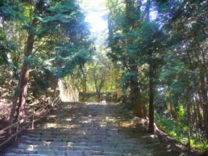 aduti06
