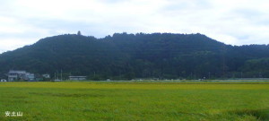 aduti46