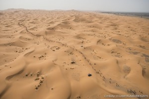 phoca_thumb_l_vc-01-1-copyright-99_bd