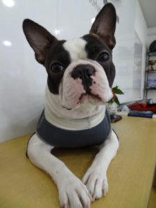 DSC06605
